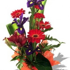 Assorted Arrangement Iris, gerbera and lily